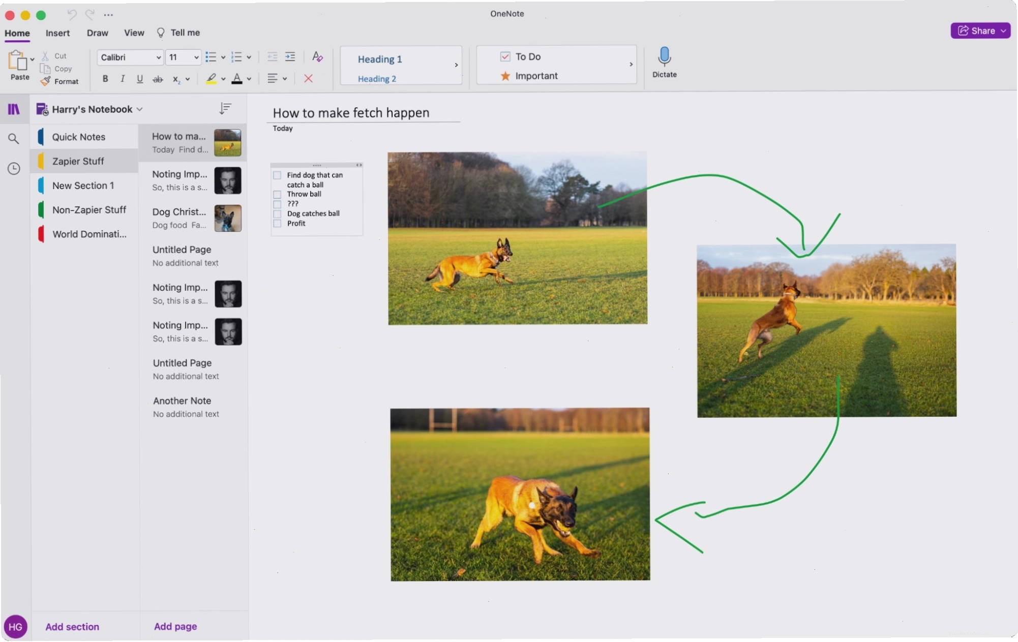 Giao diện ứng dụng Microsoft OneNote với các sổ ghi chú và trang tùy chỉnh