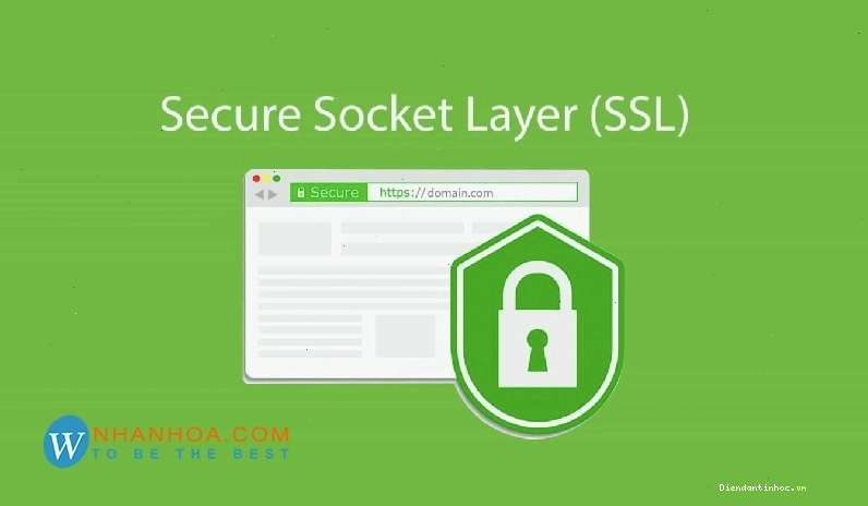 Hình ảnh minh họa chứng chỉ SSL Certificate bảo vệ website