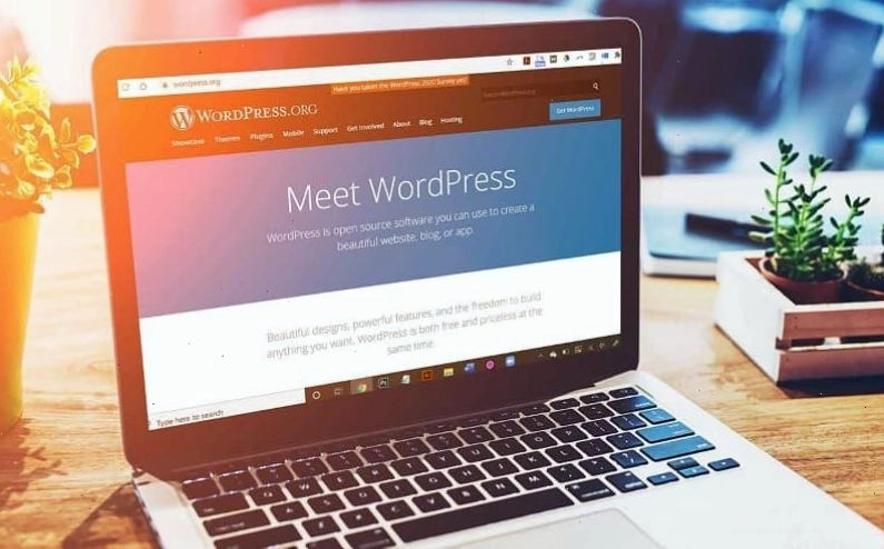 Học lập trình website với WordPress