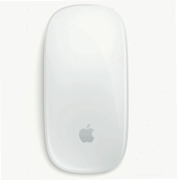Hộp đựng và chuột Magic Mouse 2 chính hãng