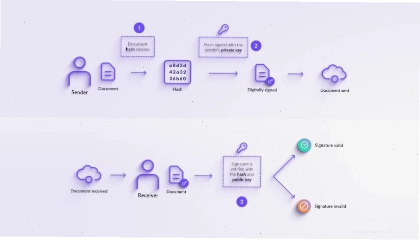 How digital signatures are created and verified using private and public keys