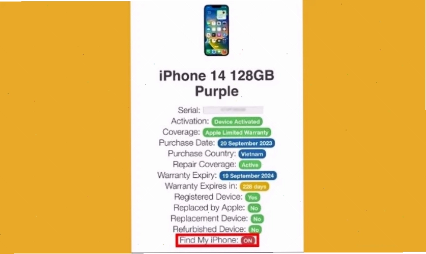 Kết quả kiểm tra iCloud ẩn cho thấy tình trạng máy