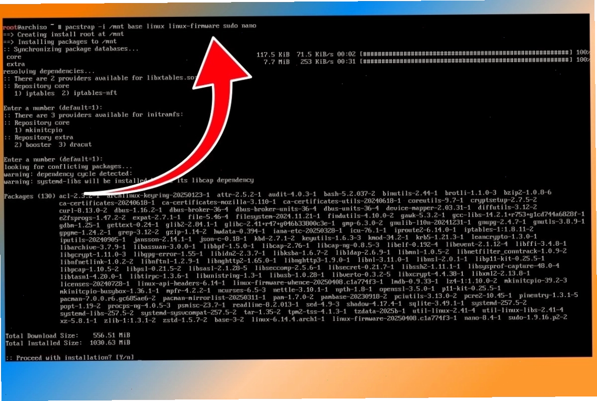 Lập trình viên làm việc trên hệ thống Arch Linux