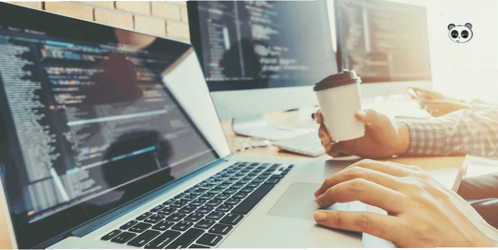 Lập trình viên .NET đang làm việc trên mã nguồn