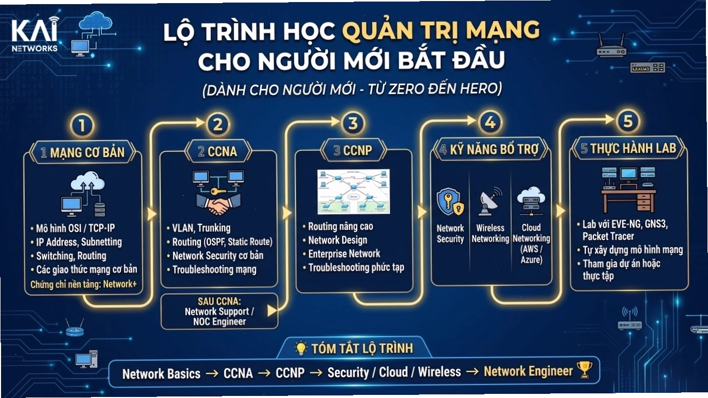 Lộ trình học quản trị mạng cho người mới bắt đầu