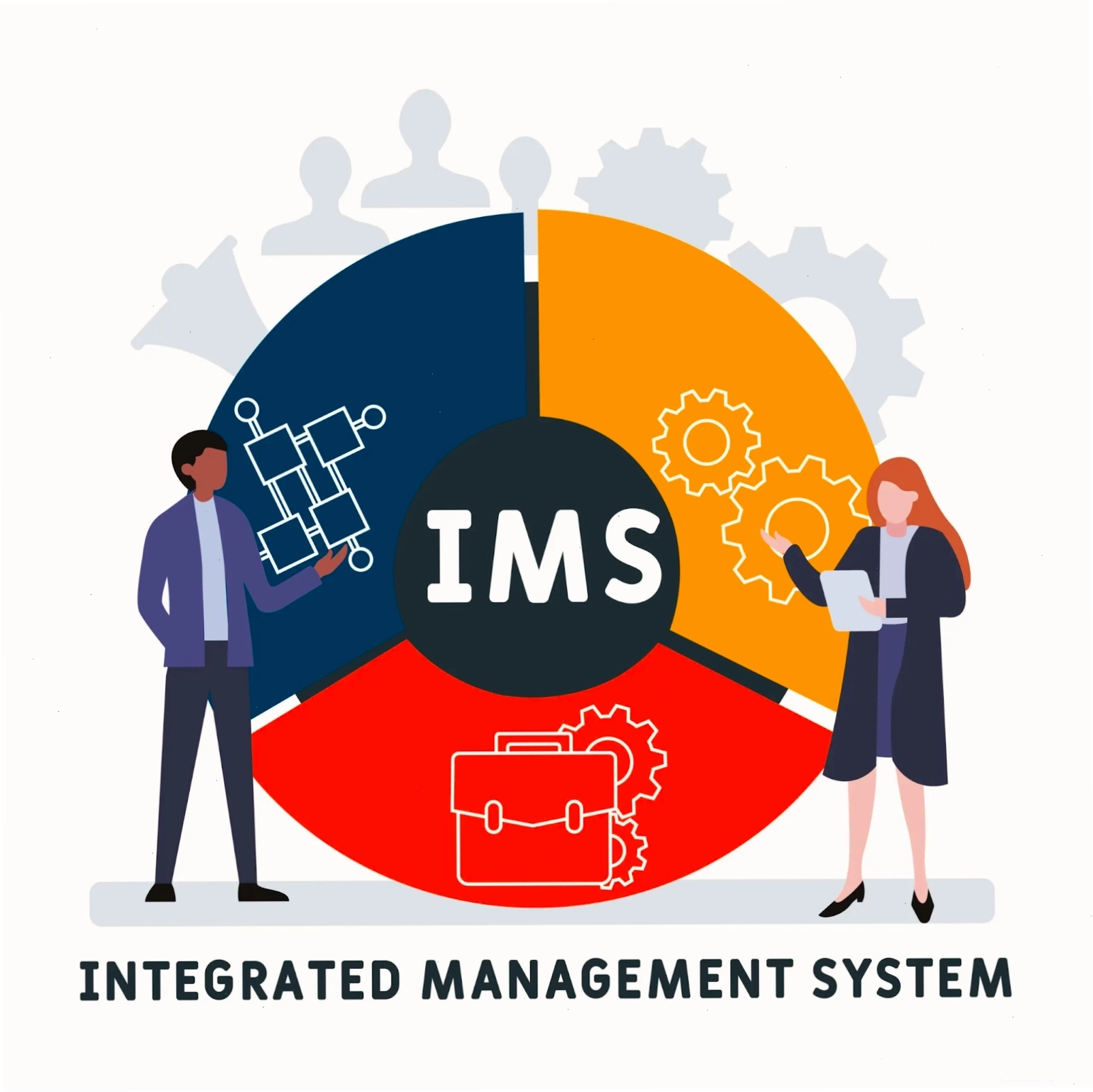 Lợi ích và thách thức khi triển khai IMS
