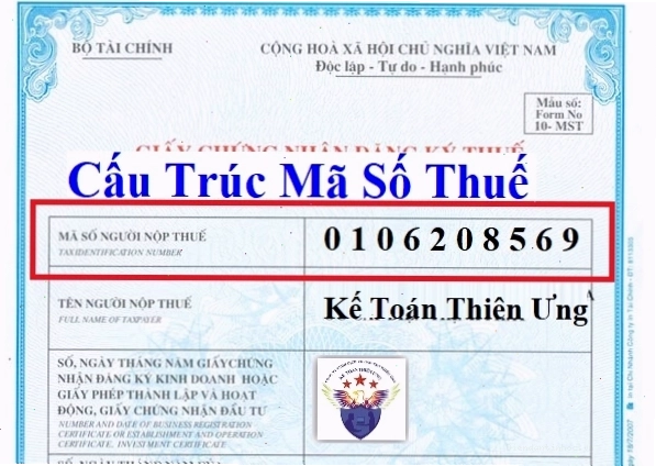 Mã số thuế là gì