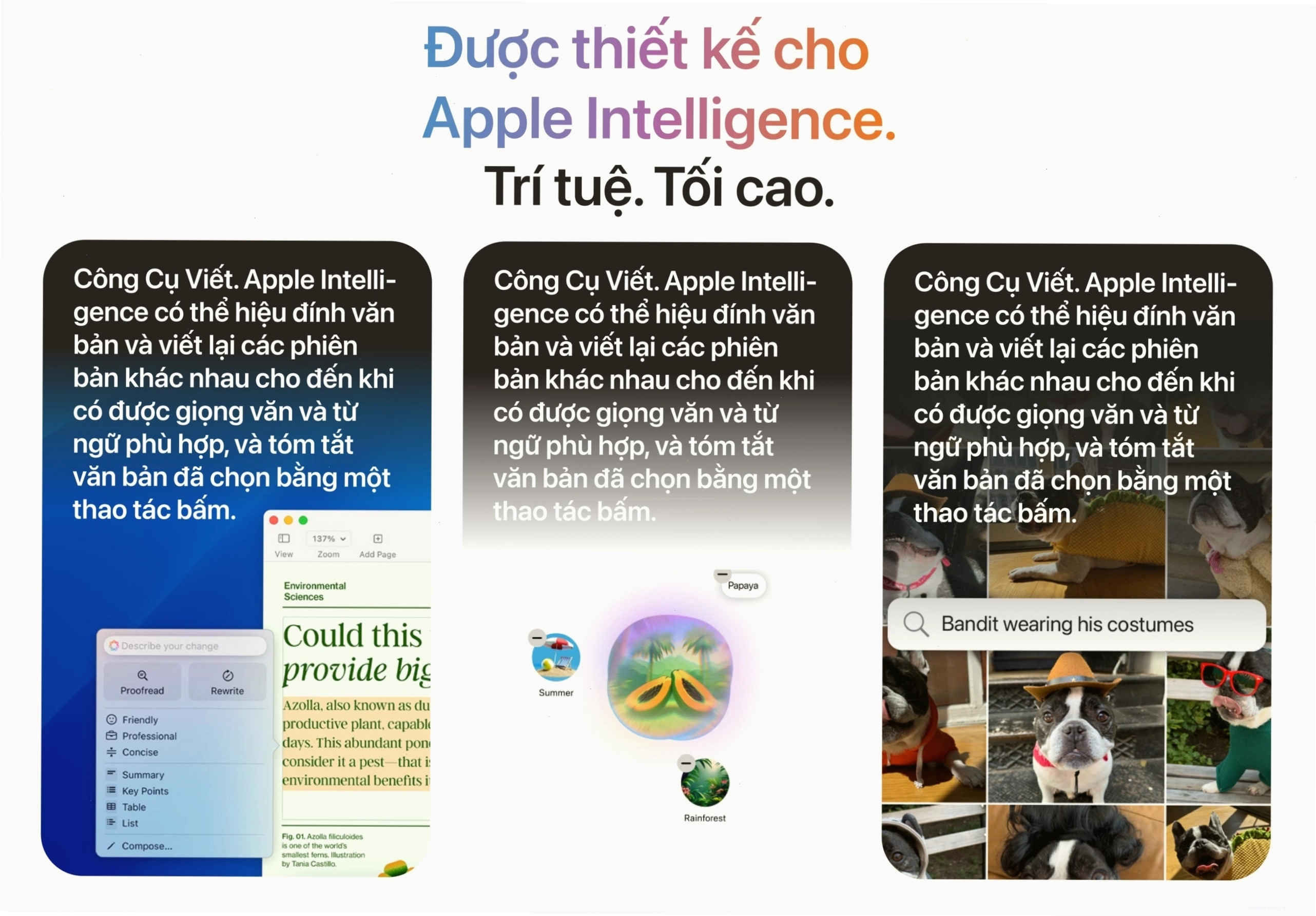 Mac Mini M4 cho công việc sáng tạo