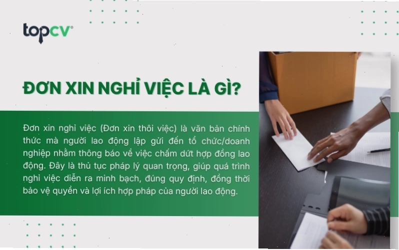 Mẫu đơn xin nghỉ việc chuẩn, đầy đủ thông tin cơ bản