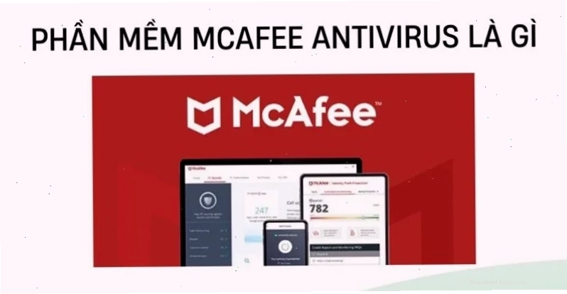 McAfee Security bảo vệ điện thoại khỏi virus và mất cắp