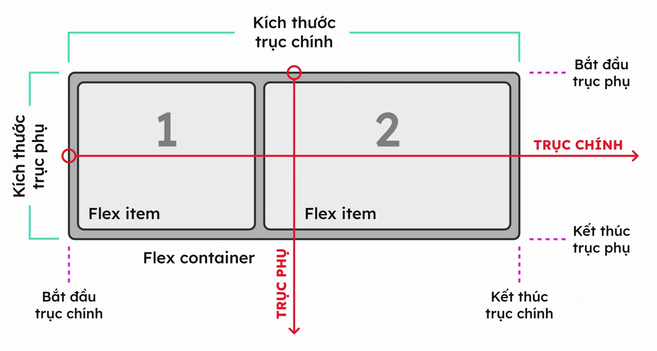 Minh họa các layout phổ biến sử dụng Flex CSS