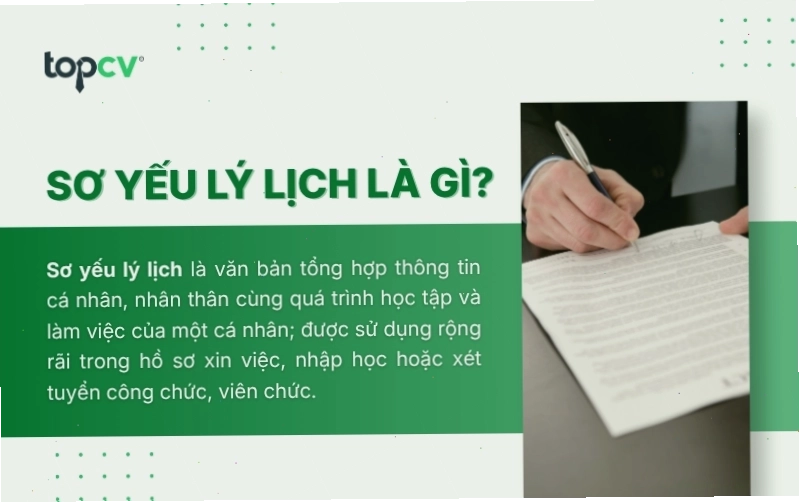Minh họa các mục thông tin chính trong sơ yếu lý lịch