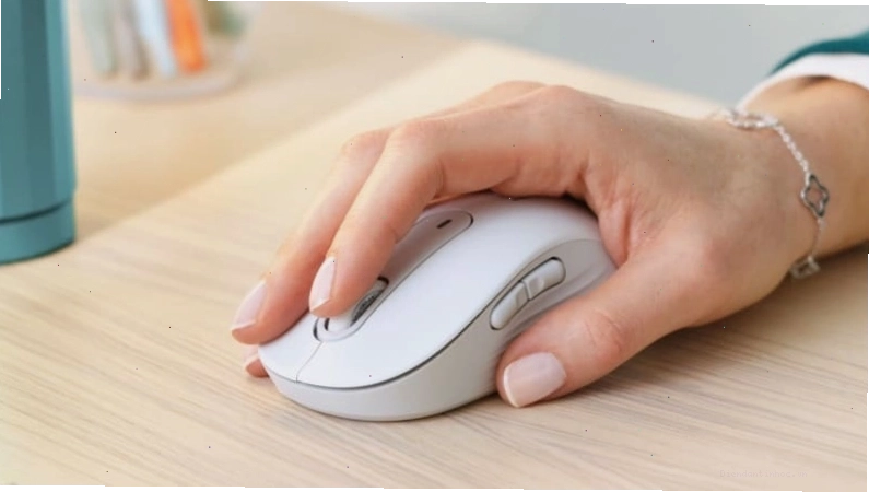 Minh họa các tiêu chí khi chọn chuột không dây Logitech
