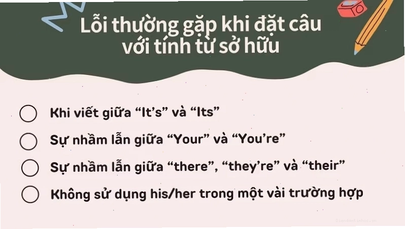 Minh họa cách dùng tính từ sở hữu đứng trước danh từ