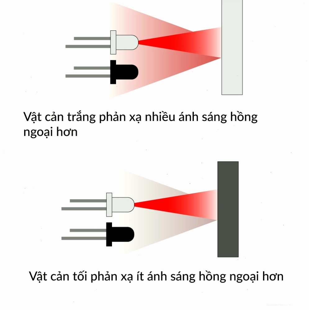 Minh họa cách gắn đĩa có khe/vạch vào trục động cơ