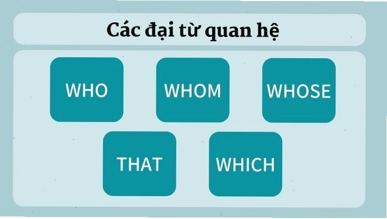 Minh họa cấu trúc mệnh đề quan hệ trong câu tiếng Anh