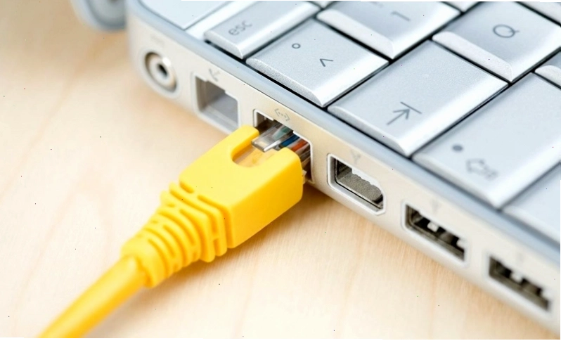 Minh họa cổng Ethernet trên các thiết bị mạng