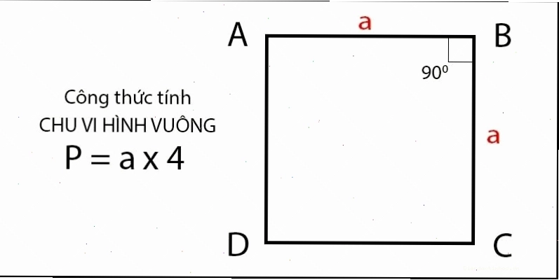 Minh họa công thức tính chu vi hình vuông