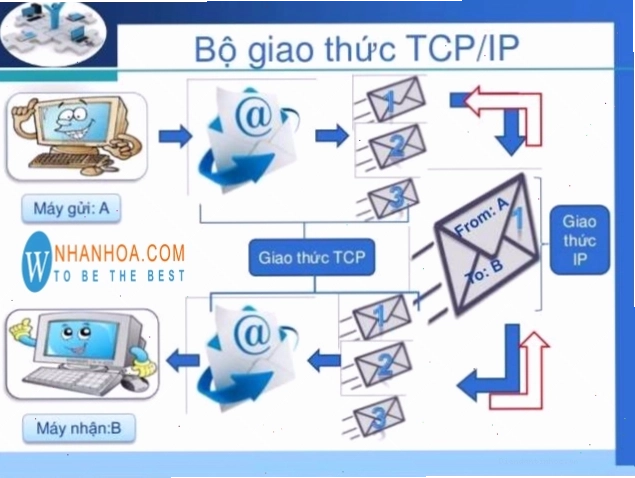 Minh họa hoạt động của tầng Transport trong TCP/IP