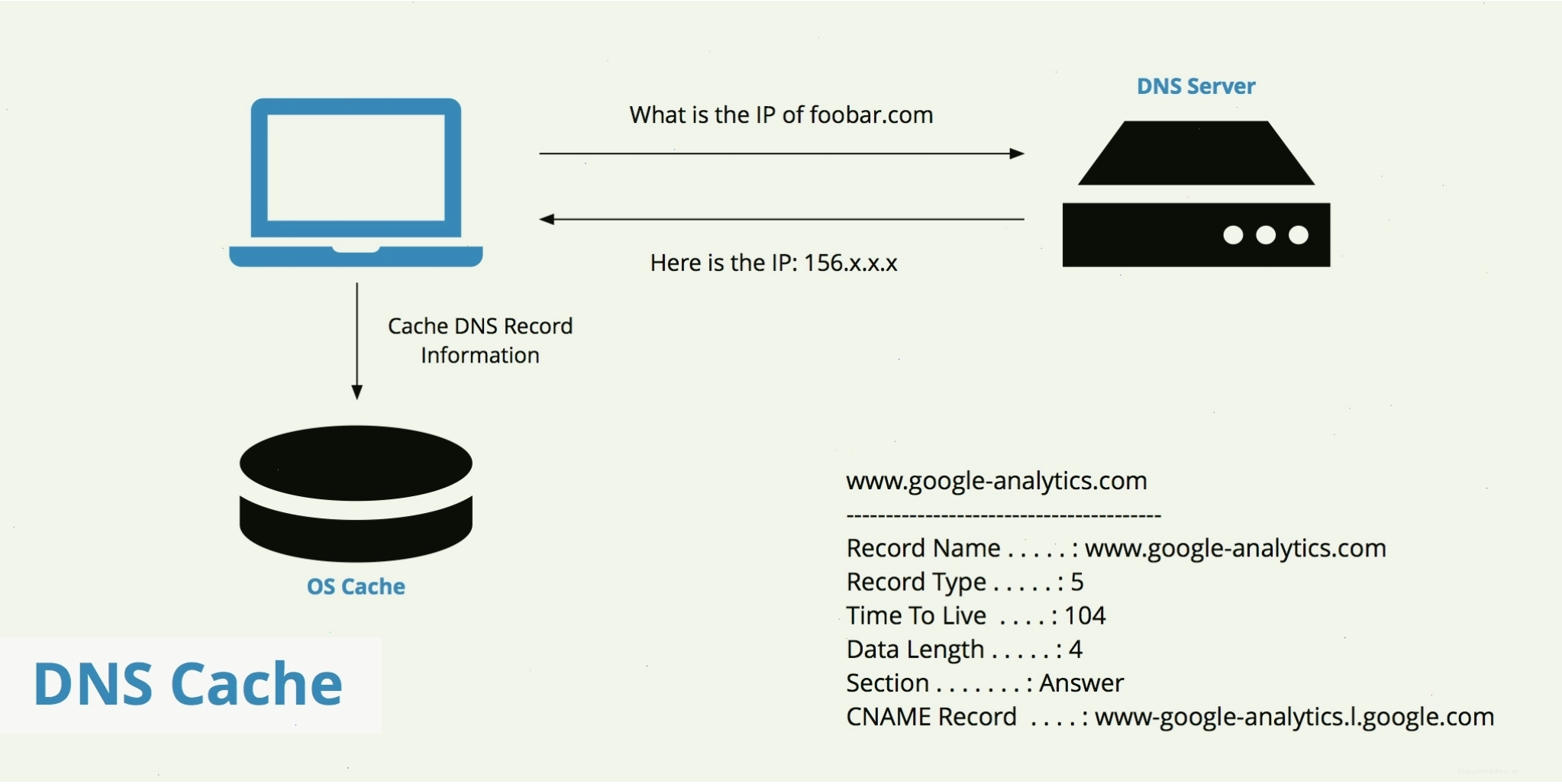 Minh họa khái niệm DNS Cache và cách xóa nó