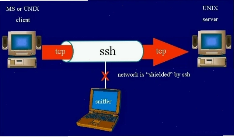 Minh họa khái niệm SSH là gì