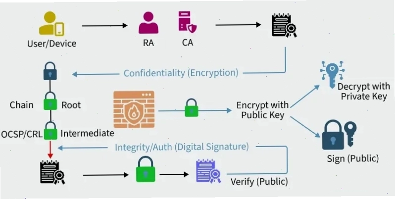 Minh họa mã hóa bảo mật dữ liệu trong Public Key Infrastructure