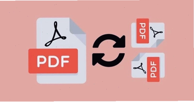 Minh họa một trang PDF bị xoay ngược cần chỉnh sửa hướng