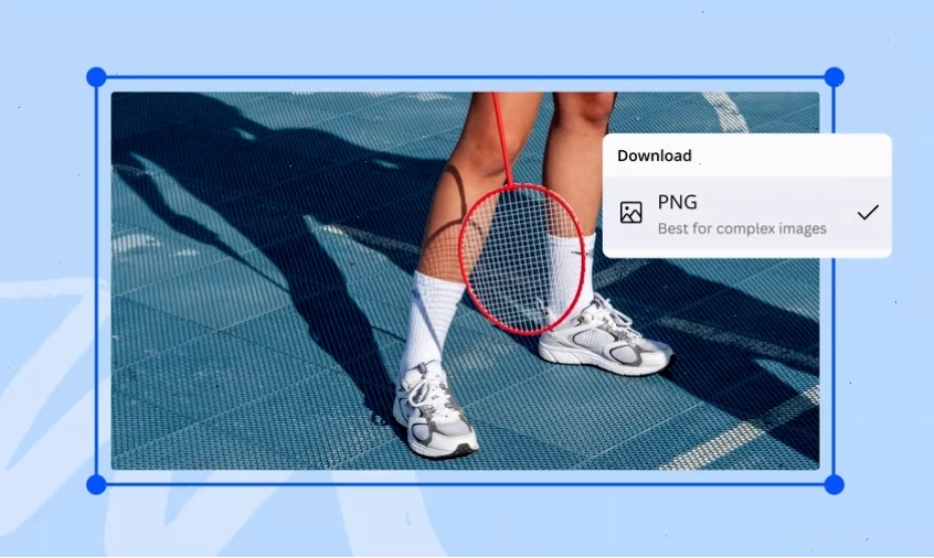 Minh họa quá trình chuyển đổi ảnh WebP sang PNG