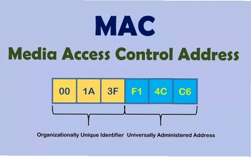 Minh họa tổng quan về địa chỉ MAC và vai trò của nó trong mạng