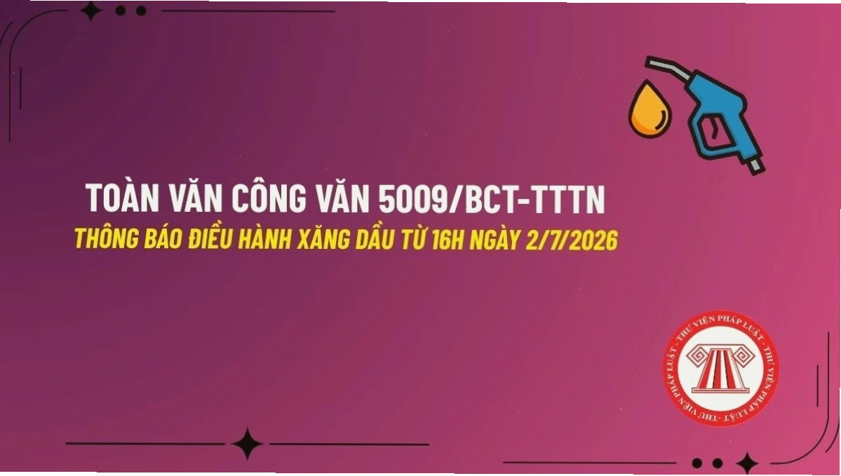 Nguyên tắc xử phạt vi phạm hành chính
