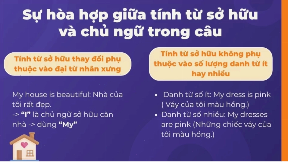 Nhận diện các lỗi sai thường gặp khi dùng tính từ sở hữu