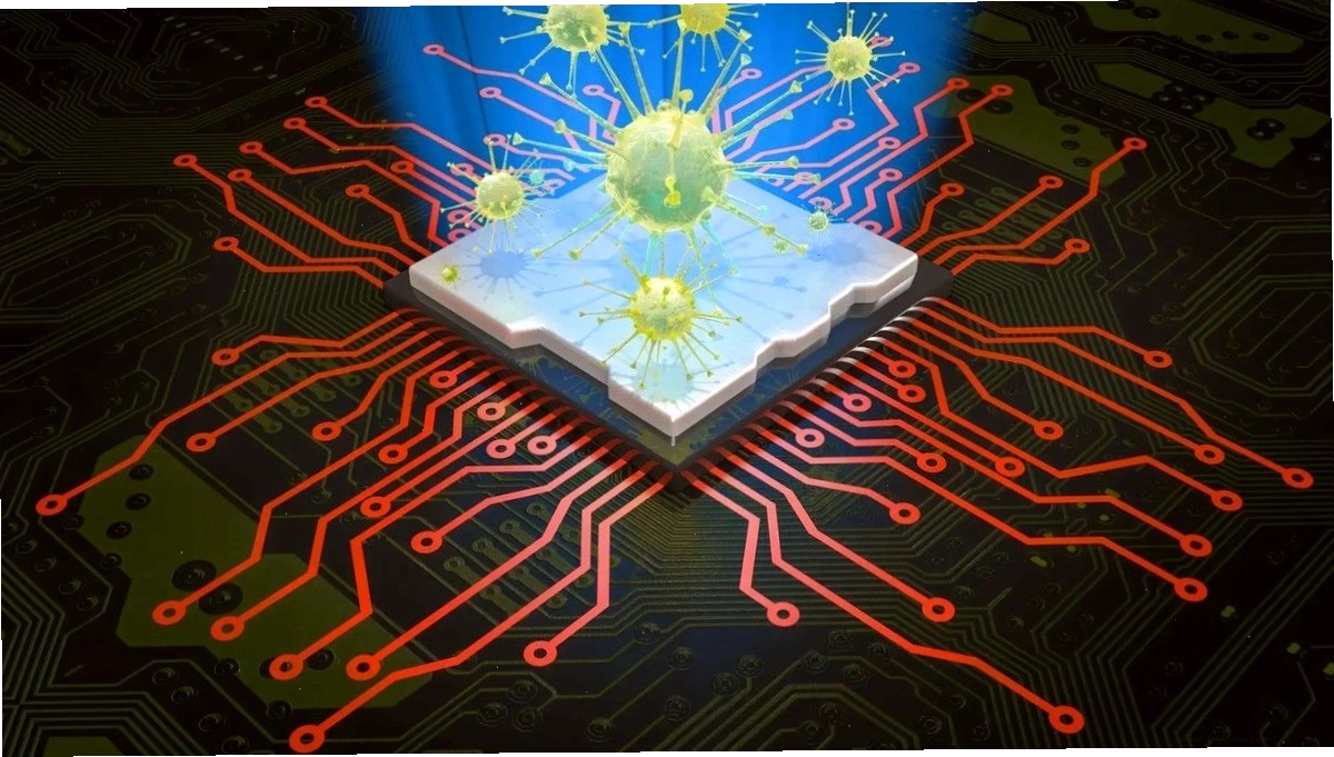 Phân loại các loại virus máy tính nguy hiểm