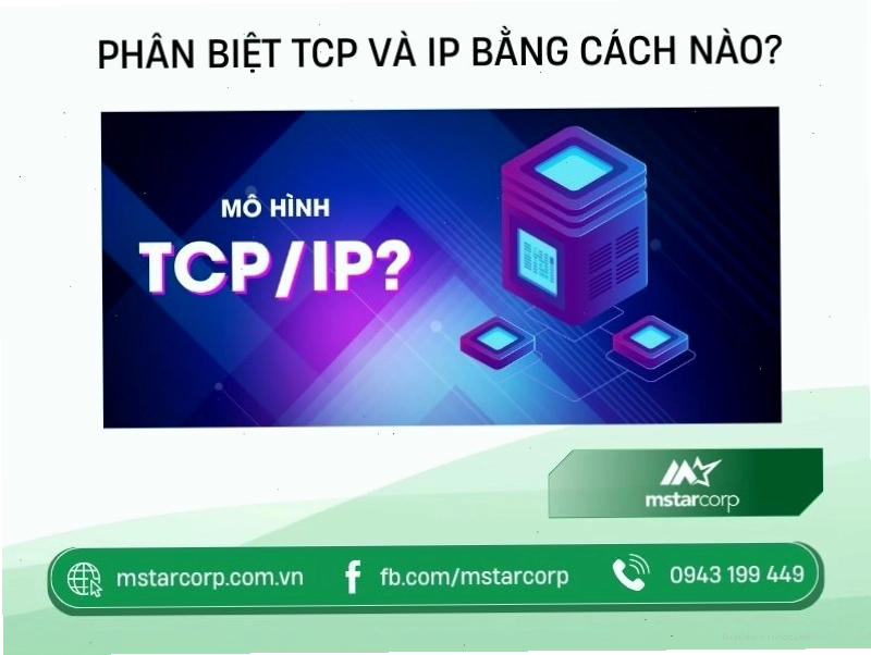 So sánh sự khác biệt giữa giao thức TCP và IP