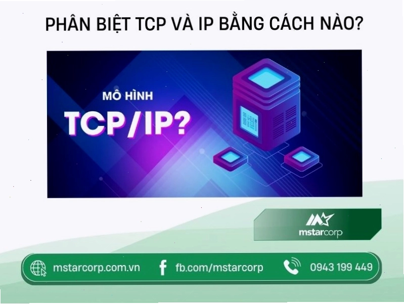So sánh sự khác biệt giữa TCP và IP trong truyền thông mạng