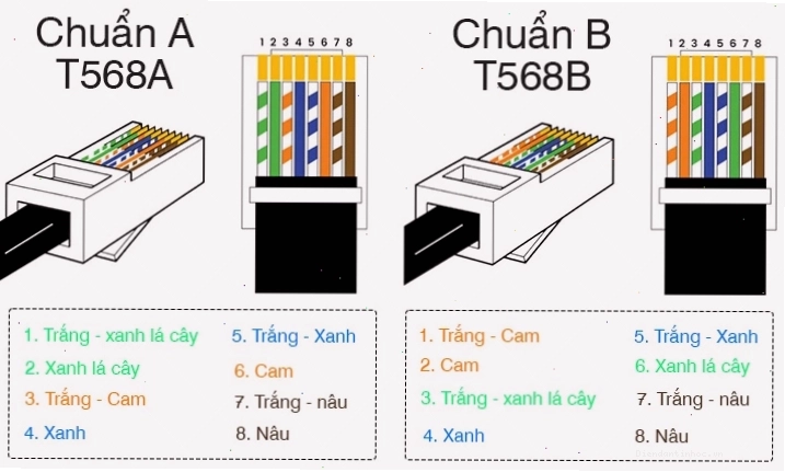 Sự khác biệt giữa chuẩn A và chuẩn B trong bấm dây mạng