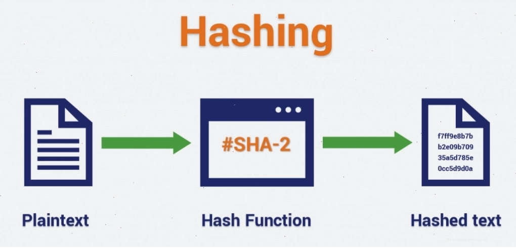 Sự khác biệt giữa Encryption, Hashing và Salting
