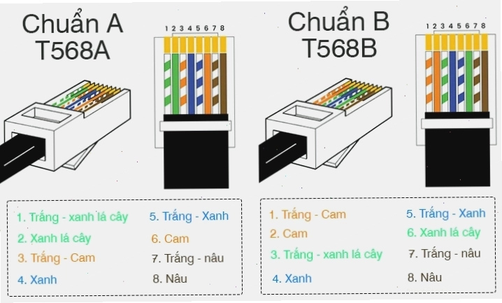 Sự khác biệt về thứ tự dây màu giữa chuẩn A và chuẩn B trong bấm dây mạng