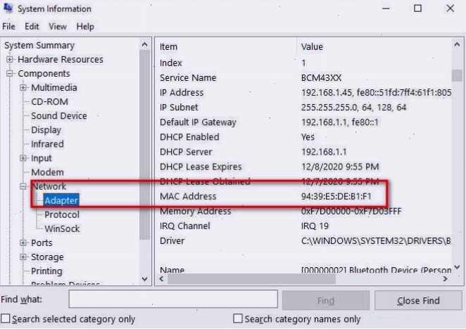 System Information hiển thị địa chỉ MAC của card mạng