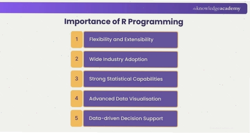 Tầm quan trọng của R Programming