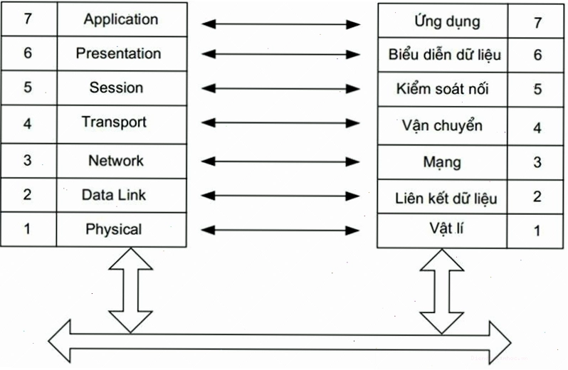 Tầng 7 và Tầng 6 của mô hình OSI