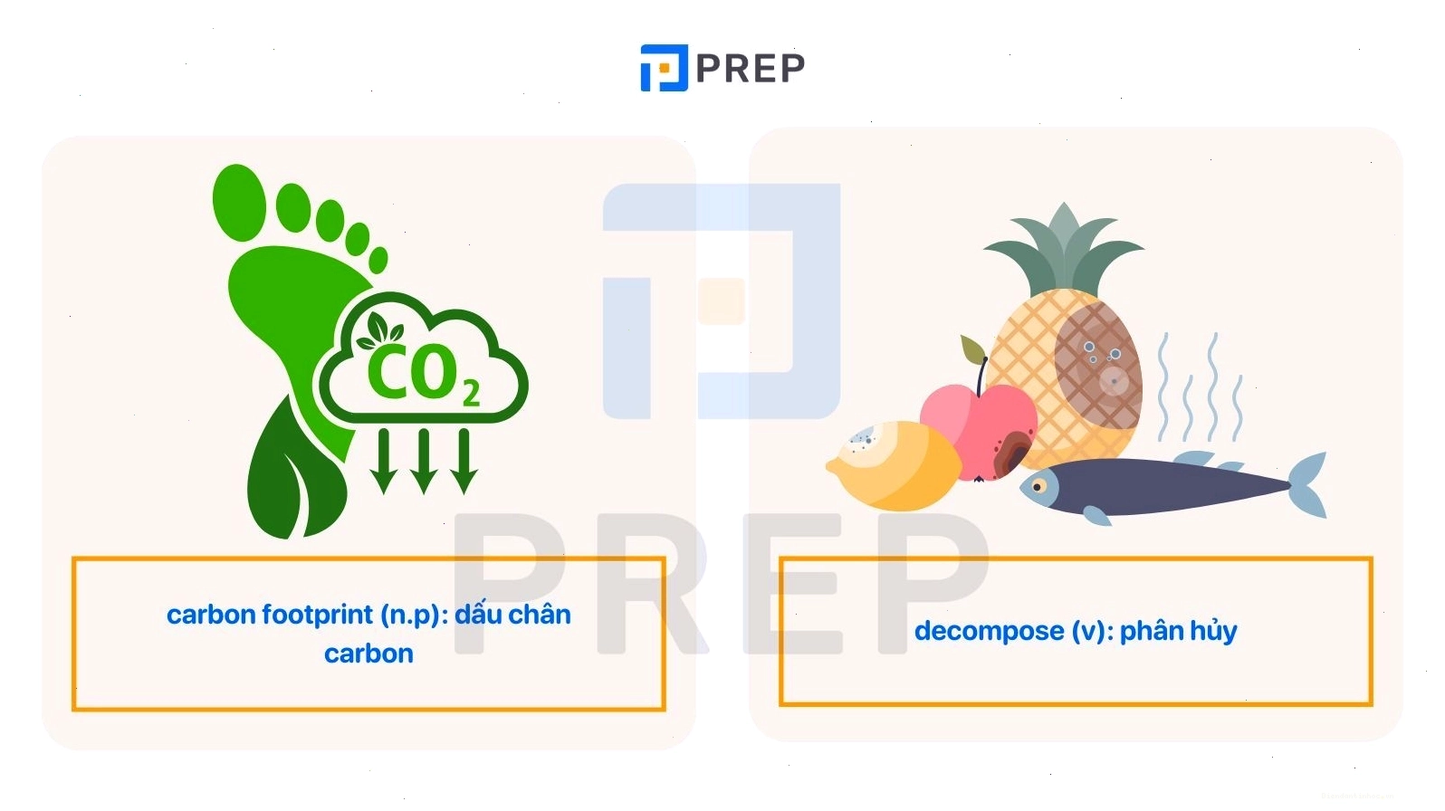 Từ vựng và bài tập Unit 3 về Green Living