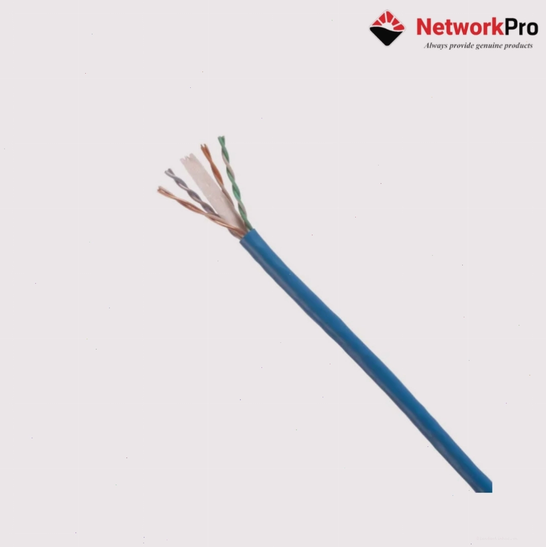 Ứng dụng dây mạng Cat6 Panduit trong hệ thống mạng văn phòng