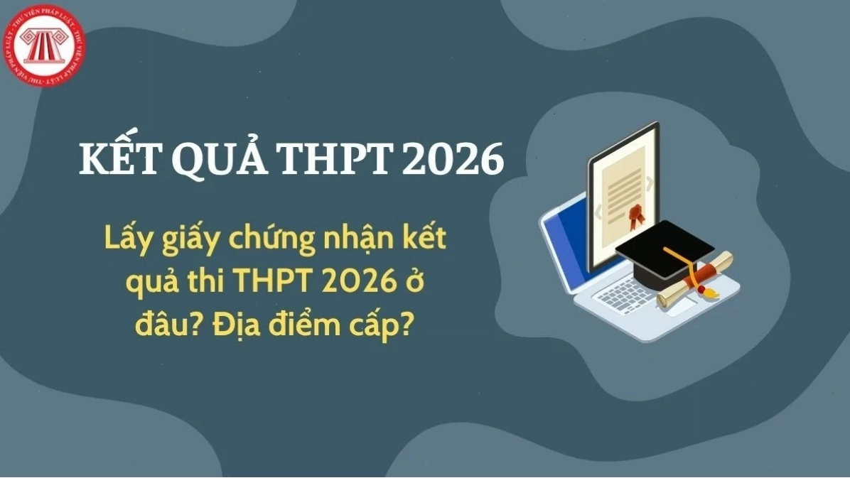 Vai trò của người bào chữa