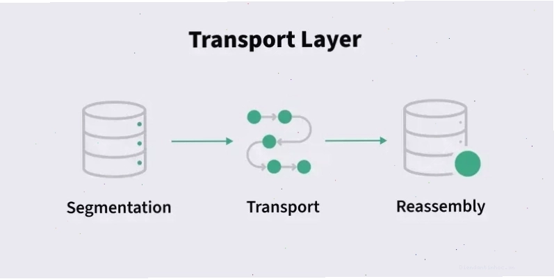 Vai trò của TCP và UDP trong Lớp Giao vận