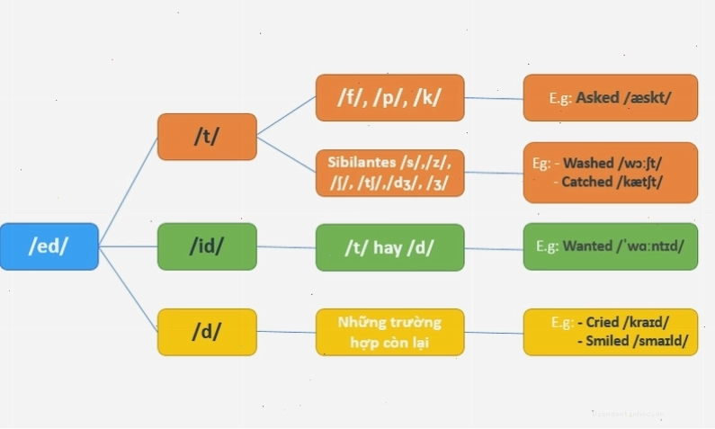 Ví dụ về cách phát âm đuôi ed là /t/