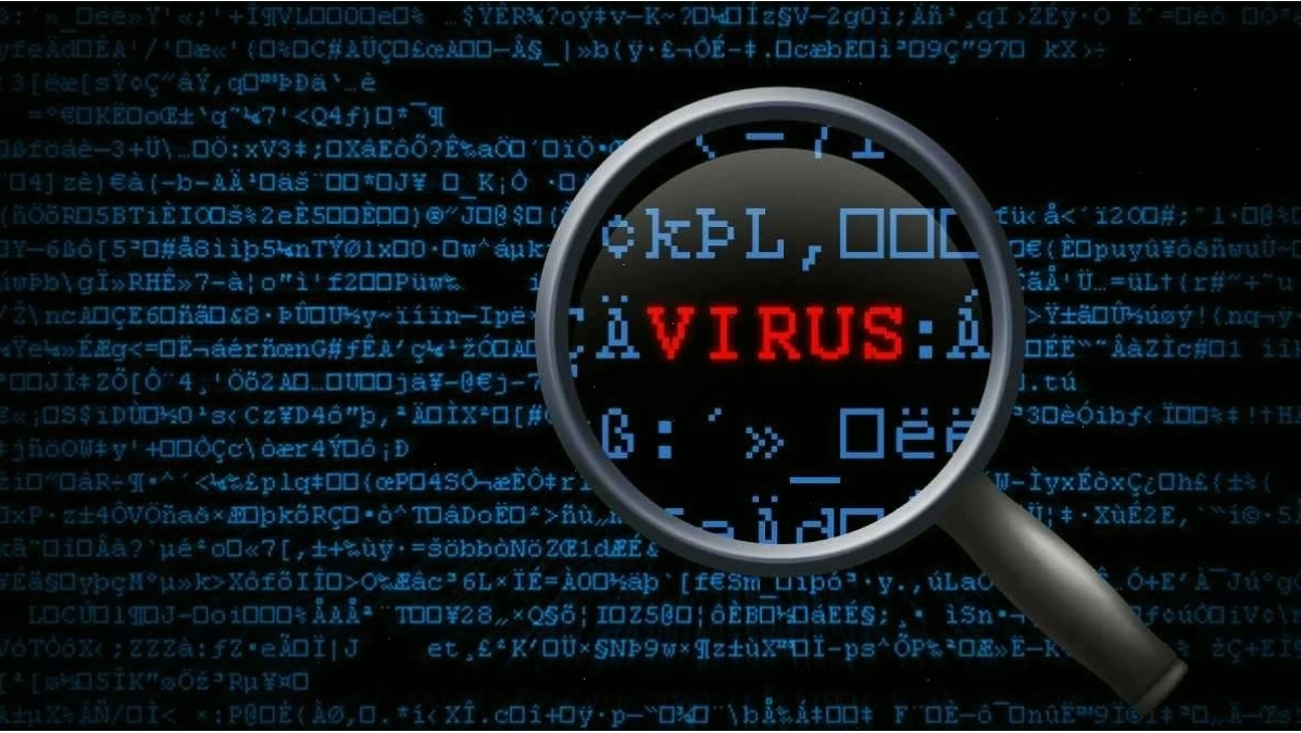 Virus máy tính có thể gây mất mát dữ liệu nghiêm trọng