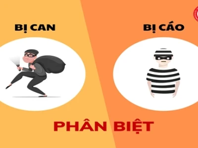 Bị cáo là gì? Quyền và nghĩa vụ của người bị truy cứu trách nhiệm hình sự
