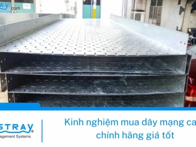 Dây cáp mạng Cat6: Tiêu chuẩn, ứng dụng và cách chọn mua 2026