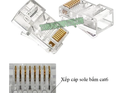 Hạt mạng Cat6: Tiêu chuẩn Vàng cho Kết nối Mạng Tốc độ Cao