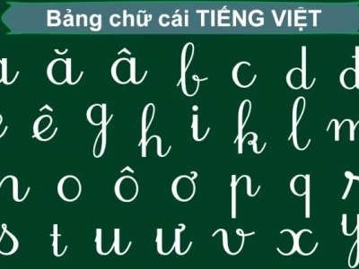Khám phá bảng chữ cái tiếng Việt:cái và cách học hiệu quả cho bé